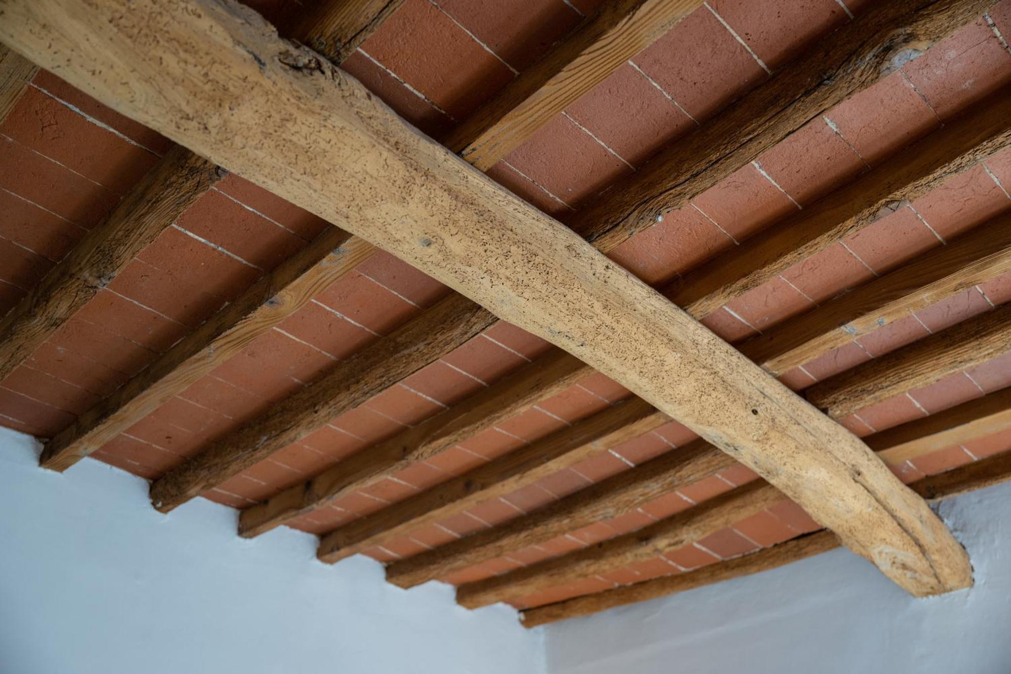 Tipica Cozy House + Parking! Apartment Firenze Bagian luar foto