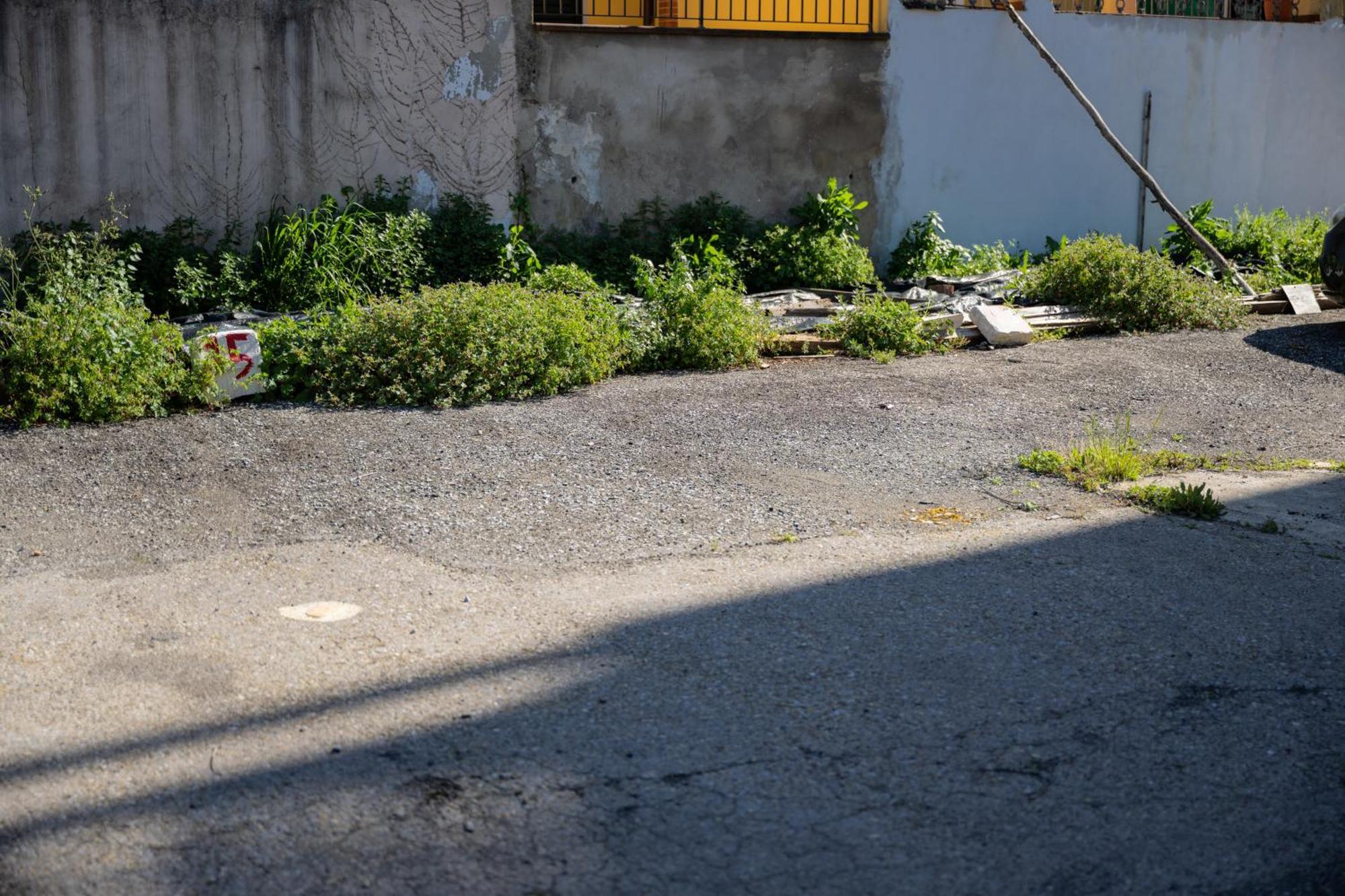 Tipica Cozy House + Parking! Apartment Firenze Bagian luar foto